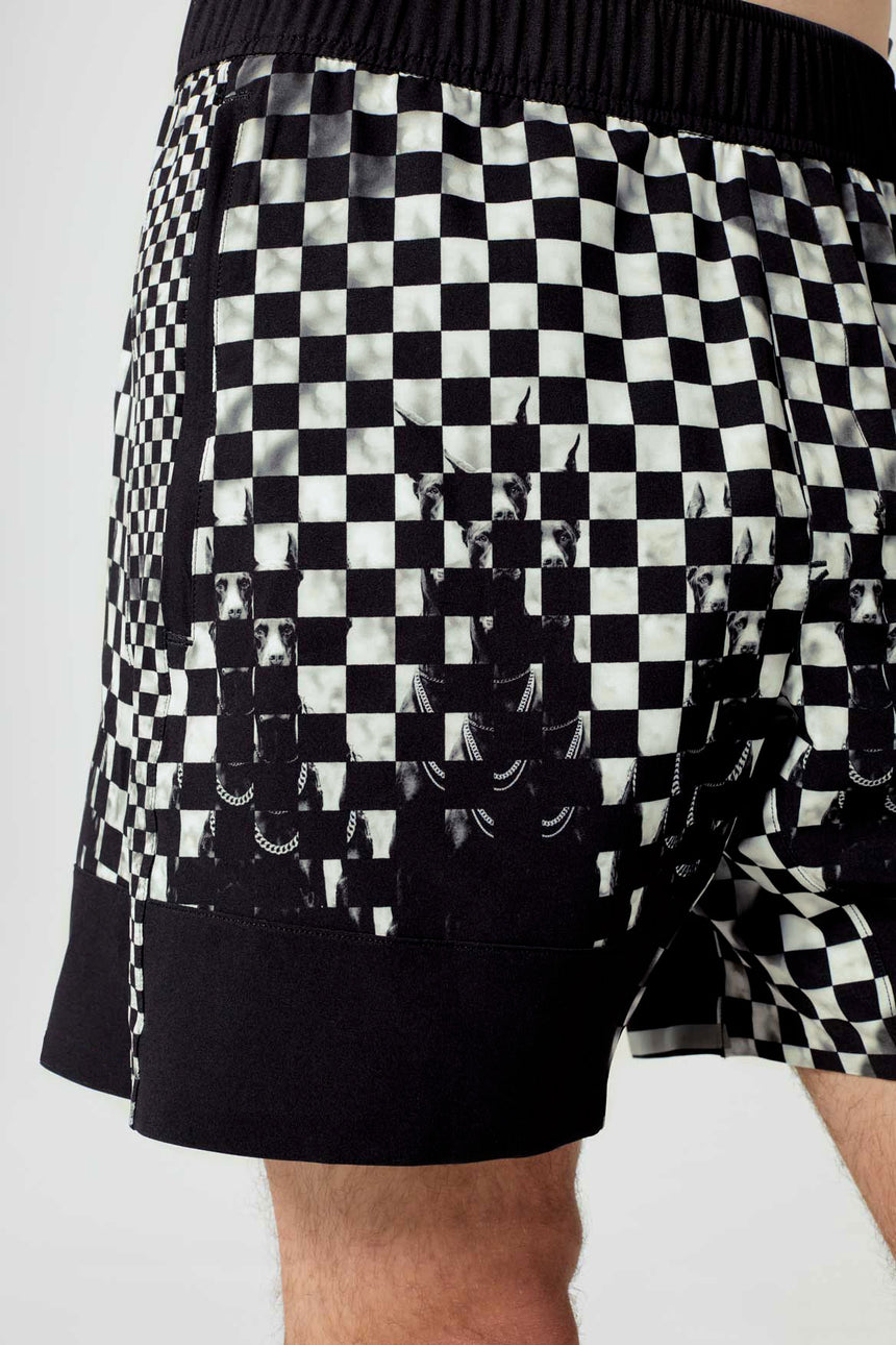 Olympus Short Cerberus